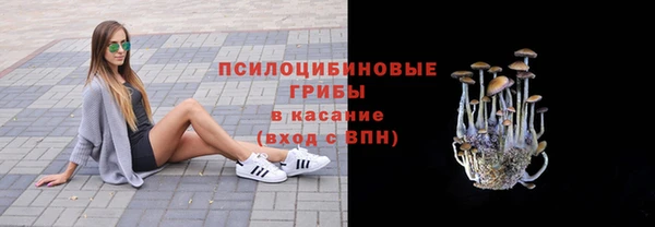 прущая мука Абаза